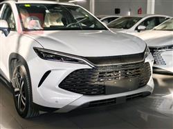 بي واي دي سونغ L DM-i